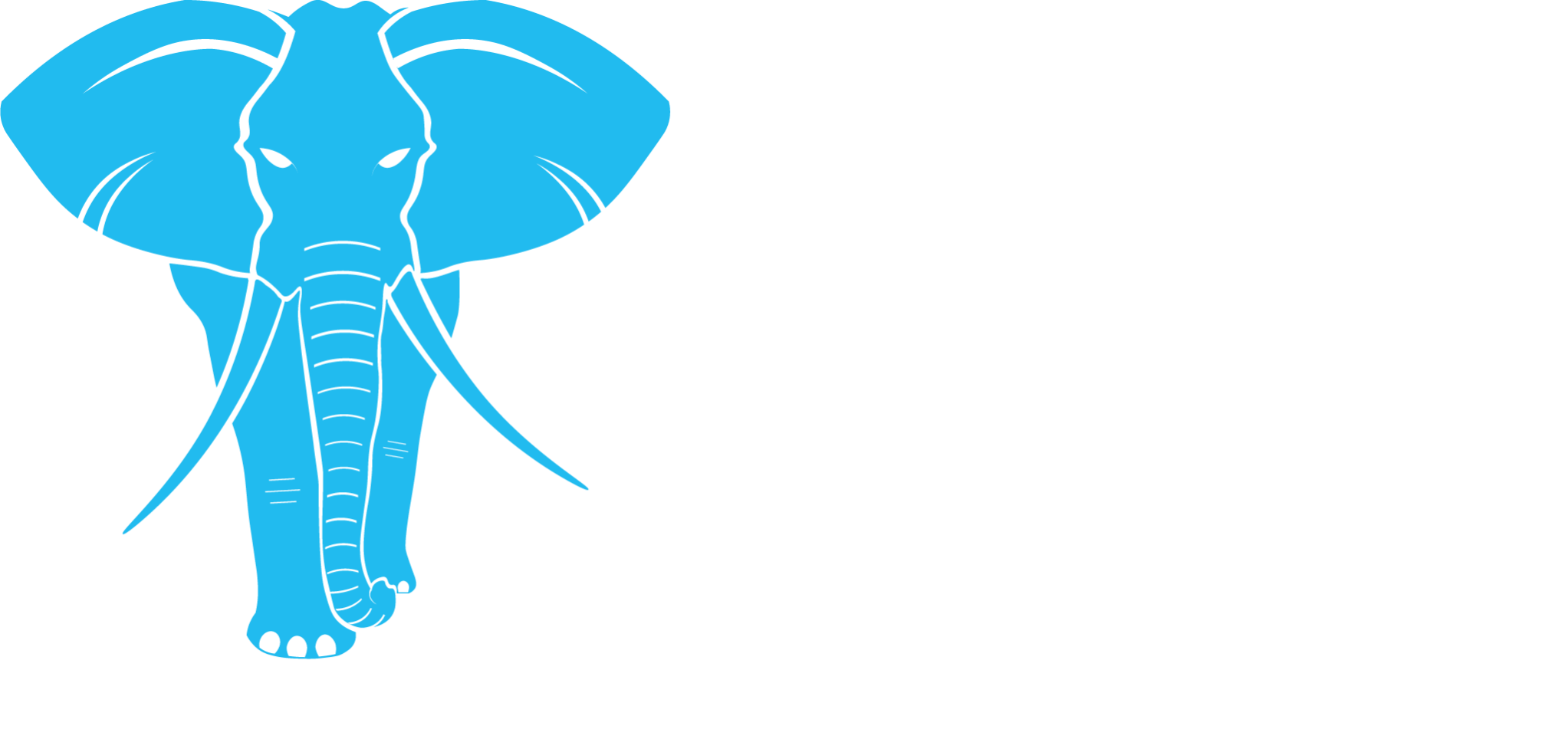 Evo PS Technology